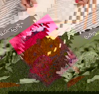 Donut King - Mitchelton - Accommodation 4U