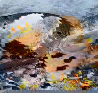 My Mistress - Accommodation 4U