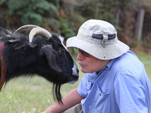 Providence Vineyards - Accommodation 4U 0