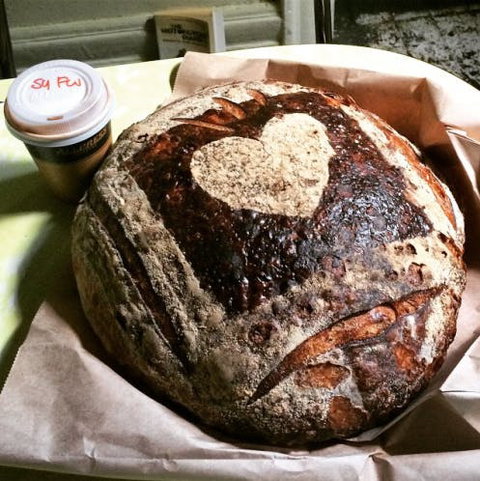 Iggy's Down Under - Bronte - Accommodation 4U 0