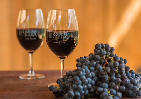 Politini Wines - Accommodation 4U 0