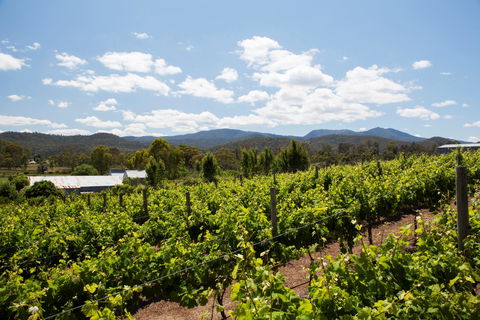 Politini Wines - Accommodation 4U 1
