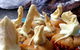 Cuisines - thumb 6