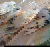 Brumby's - Clayfield - Accommodation 4U