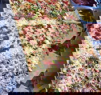 Marinelli's - Keilor East - Accommodation 4U