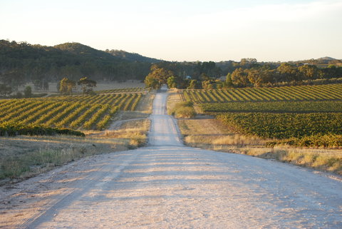 Stone Bridge Wines - Accommodation 4U 0