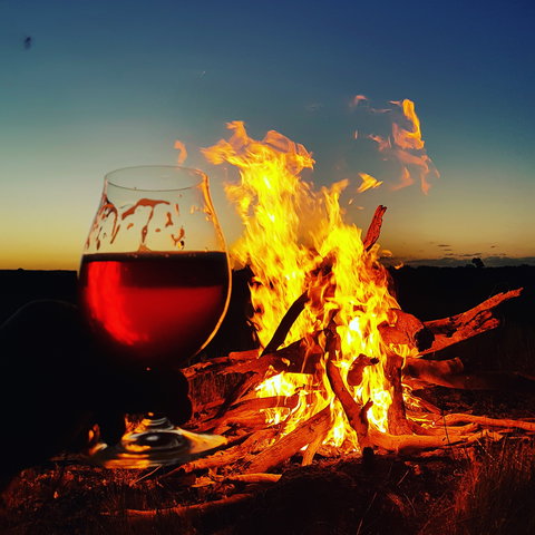 Black Dog Brewery - Accommodation 4U 0