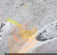 Mount Dandenong Hotel - Accommodation 4U