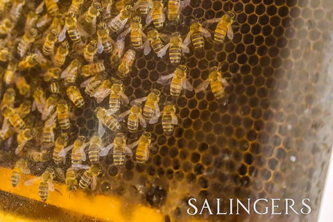 Salingers Cafe - Accommodation 4U 2