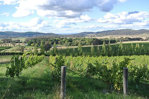 Sassy Wines - Accommodation 4U 0