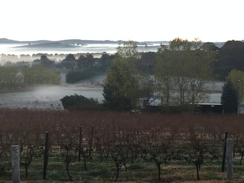 Sassy Wines - Accommodation 4U 2