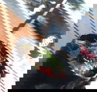 Sushi Monster - Accommodation 4U