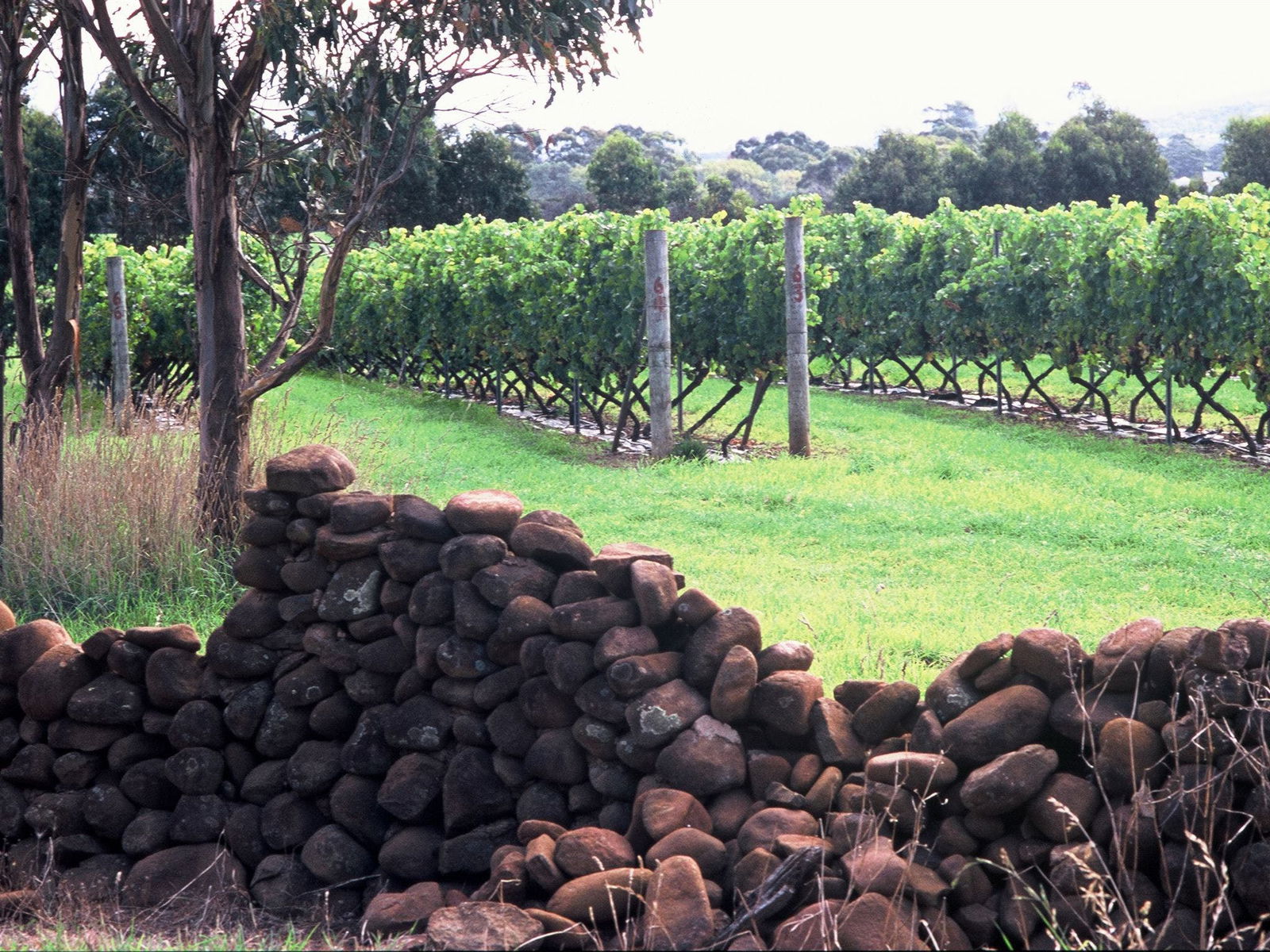 Cranbrook TAS Accommodation 4U