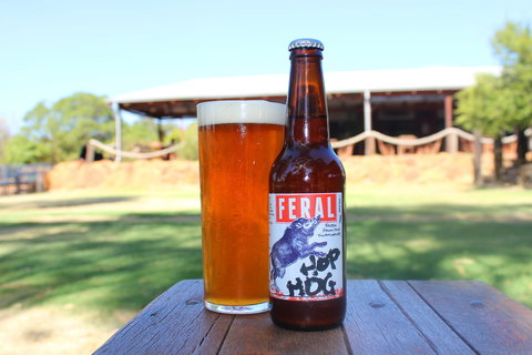 Feral Brewing Company - Accommodation 4U 1