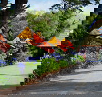 Oakdene Vineyards and Cellar Door - Accommodation 4U