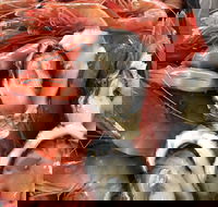 Mi Shells Seafood - Accommodation 4U