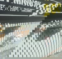 Let Minnow 2 Go - Accommodation 4U