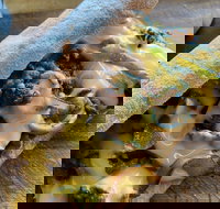 Philly Up - Accommodation 4U