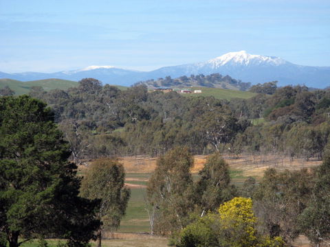 Chocolaterie RenMar - Accommodation 4U 1