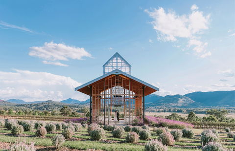 Kooroomba Vineyard And Lavender Farm - Accommodation 4U 0