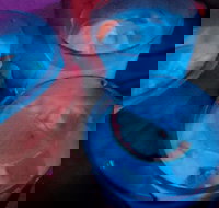 Humming Bird Dutch Cakes - Accommodation 4U