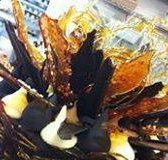 Daily Dose Cafe Wine Bar - Accommodation 4U