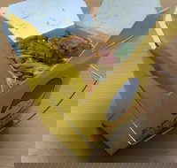 Express Wok - Accommodation 4U