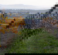 Barwon Ridge Wines - Accommodation 4U