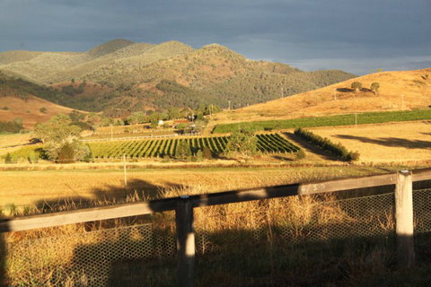 Optimiste Wines - Accommodation 4U 0