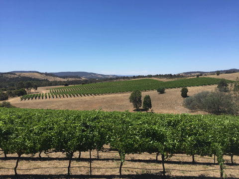 Peerick Vineyard And Winery - Accommodation 4U 0