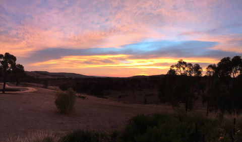 Peerick Vineyard And Winery - Accommodation 4U 1