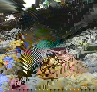 Sweetness Your Lolly Shop and Gelato - Accommodation 4U