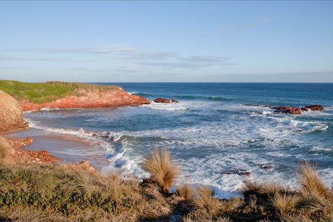 The Cape Kitchen - Accommodation 4U 0