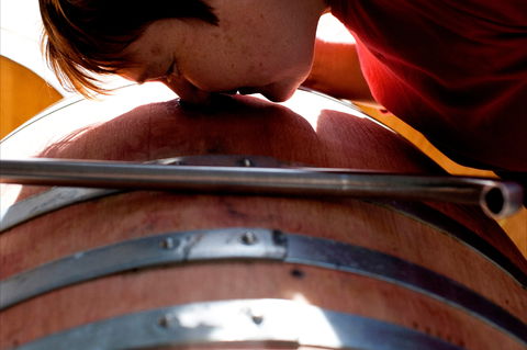 Yarrh Wines - Accommodation 4U 2