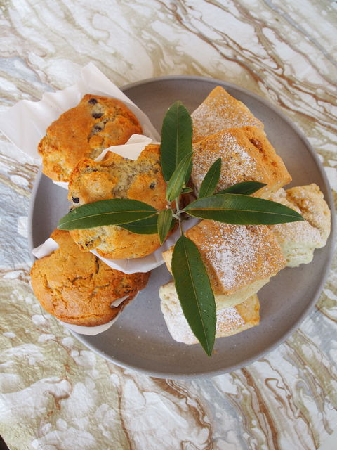 Paperbark Cafe At Kuranga Native Nursery - Accommodation 4U 1