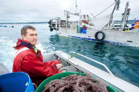 Peninsula Fresh Seafood - Accommodation 4U 0