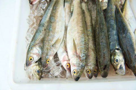 Peninsula Fresh Seafood - Accommodation 4U 2