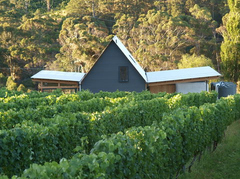 Two Bud Spur Vineyard - Accommodation 4U 0