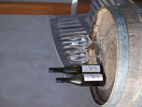 Two Bud Spur Vineyard - Accommodation 4U 1
