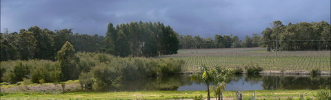 The Alchemist - Accommodation 4U 0