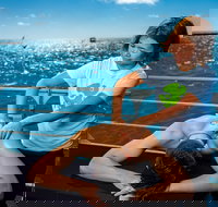 Christies Too Fish  Chips - Accommodation 4U