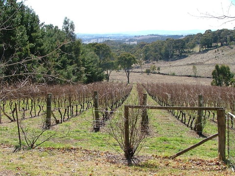 Habitat Vineyard - Accommodation 4U 0