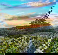Between the Vines Cellar Door - Accommodation 4U