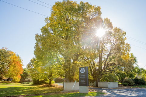Brown Brothers Milawa Vineyard - Accommodation 4U 0