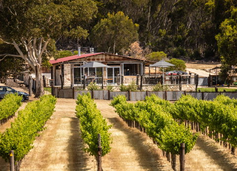 False Cape Wines Cellar Door - Accommodation 4U 0