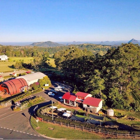 Live Foods Cafe - Accommodation 4U 0