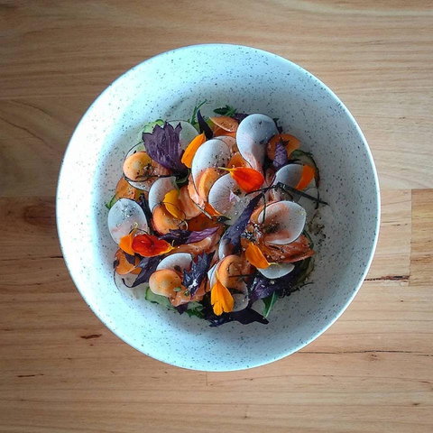 Pachinko - Accommodation 4U 0