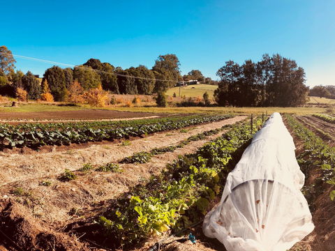 Synchronicity Farm - Accommodation 4U 0
