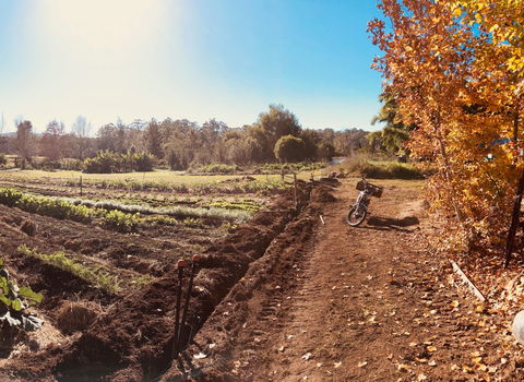 Synchronicity Farm - Accommodation 4U 1