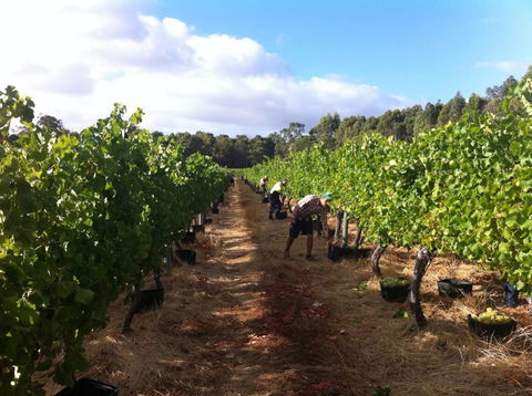 Ashbrook Estate - Accommodation 4U 1